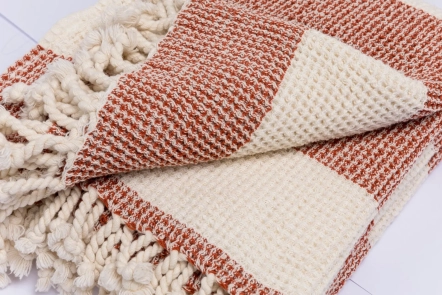 Couverture Zavial Argile (2)