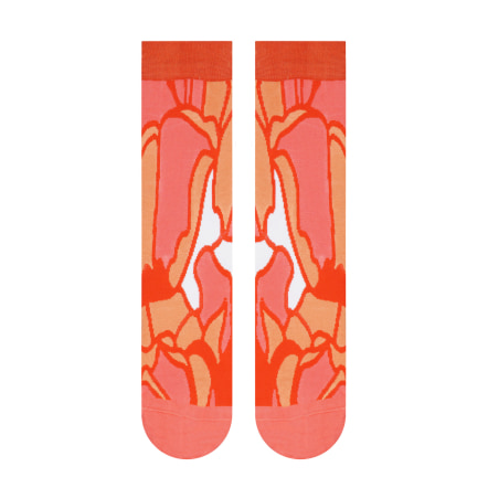 Chaussettes Cristal - Collection DÉSERT - WWF® (2)