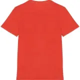 tshirt paprika verso_min